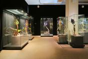 museum fur naturkunde berlin 5-2025 1413